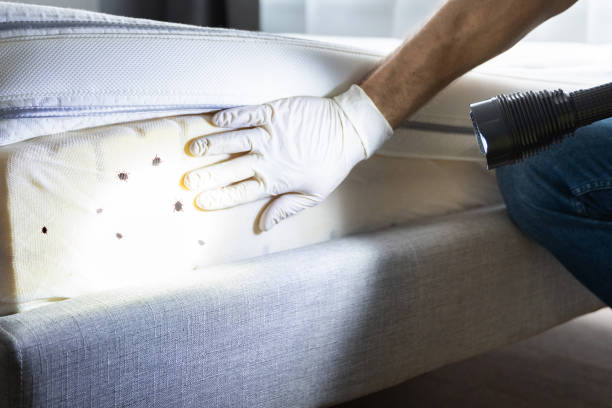 Reliable Hershey, PA Pest Control Solutions